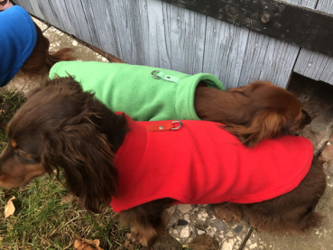 Bodywärmer Fleece - verschiedene Farben
